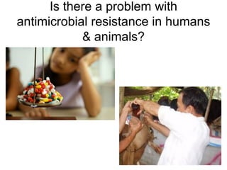 Is there a problem with
antimicrobial resistance in humans
            & animals?
 