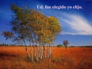 Ud. fue elegido yo elijo.
 