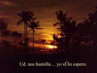 Ud. nos humilla… yo sólo espero.   