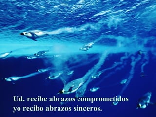 Ud. recibe abrazos comprometidos
yo recibo abrazos sinceros.
 
