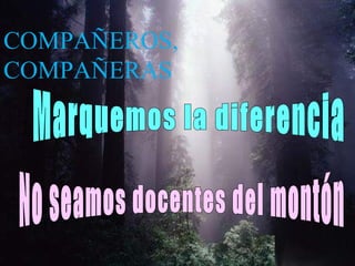 COMPAÑEROS,
COMPAÑERAS
 