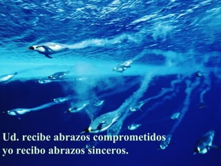 Ud. recibe abrazos comprometidos
yo recibo abrazos sinceros.
 