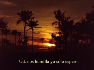 Ud. nos humilla yo sólo espero.
 