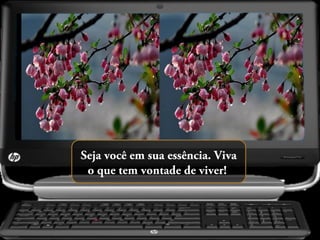 Seja você em sua essência. Viva
o que tem vontade de viver!

 
