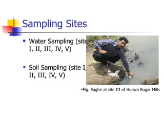 Sampling Sites  Water Sampling (site I, II, III, IV, V) Soil Sampling (site I, II, III, IV, V) Fig. Saghir at site III of Humza Sugar Mills 