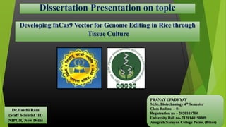 Dissertation Presentation on topic
Developing fnCas9 Vector for Genome Editing in Rice through
Tissue Culture
PRANAY UPADHYAY
M.Sc. Biotechnology 4th Semester
Class Roll no – 01
Registration no – 2020103704
University Roll no- 2120140150009
Anugrah Narayan College Patna, (Bihar)
Dr.Hasthi Ram
(Staff Scientist III)
NIPGR, New Delhi
 