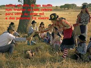 cantei no alto de um monte num tractor ou num celeiro para vinte ou vinte mil e das palavras fiz viveiro 