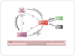 Figure 2: M. tuberculosis aerosol transmission and progression to infectious TB or
non-infectious (latent) disease
 
