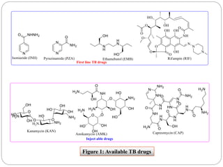 Figure 1: Available TB drugs
 