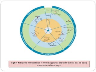 Figure 5: Pictorial representation of recently approved and under clinical trial TB active
compounds and their targets
 