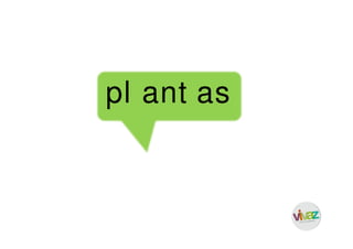 pl ant as
 