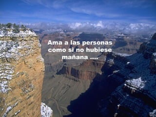 Ama a las personas
como si no hubiese
mañana ....