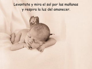 Levantate y mira el sol por las mañanas y respira la luz del amanecer. 