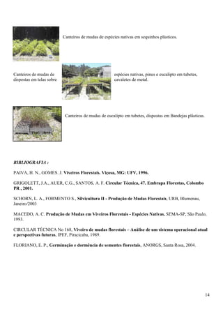 14
Canteiros de mudas de espécies nativas em sequinhos plásticos.
Canteiros de mudas de espécies nativas, pinus e eucalipto em tubetes,
dispostas em telas sobre cavaletes de metal.
Canteiros de mudas de eucalipto em tubetes, dispostas em Bandejas plásticas.
BIBLIOGRAFIA :
PAIVA, H. N., GOMES. J. Viveiros Florestais. Viçosa, MG: UFV, 1996.
GRIGOLETT, J.A., AUER, C.G., SANTOS, A. F. Circular Técnica, 47. Embrapa Florestas, Colombo
PR , 2001.
SCHORN, L. A., FORMENTO S., Silvicultura II - Produção de Mudas Florestais, URB, Blumenau,
Janeiro/2003
MACEDO, A. C. Produção de Mudas em Viveiros Florestais - Espécies Nativas. SEMA-SP, São Paulo,
1993.
CIRCULAR TÉCNICA No 168, Viveiro de mudas florestais – Análise de um sistema operacional atual
e perspectivas futuras, IPEF, Piracicaba, 1989.
FLORIANO, E. P., Germinação e dormência de sementes florestais, ANORGS, Santa Rosa, 2004.
 