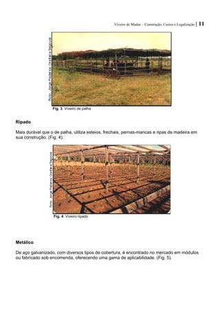 Viveiro de Mudas – Construção, Custos e Legalização | 11 
Fig. 3. Viveiro de palha 
Ripado 
Mais durável que o de palha, utiliza esteios, frechais, pernas-mancas e ripas de madeira em sua construção. (Fig. 4). 
Fig. 4. Viveiro ripado 
Metálico 
De aço galvanizado, com diversos tipos de cobertura, é encontrado no mercado em módulos ou fabricado sob encomenda, oferecendo uma gama de aplicabilidade. (Fig. 5).  