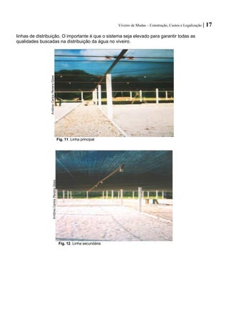 Viveiro de Mudas – Construção, Custos e Legalização | 17 
linhas de distribuição. O importante é que o sistema seja elevado para garantir todas as qualidades buscadas na distribuição da água no viveiro. 
Fig. 11. Linha principal 
Fig. 12. Linha secundária 
Antônio Carlos Pereira Góes 
 