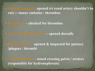 • Inferior venacava opened (rt renal artery shouldn’t be
cut) :- tumor embolus / thrombus
• Renal vein – checked for thrombus
• Lower abdominal aorta – opened dorsally
• Renal arteries – opened & inspected for patency
/plaques / thrombi
• Atypical vessels – noted crossing pelvis / ureters
(responsible for hydronephrosis)
 