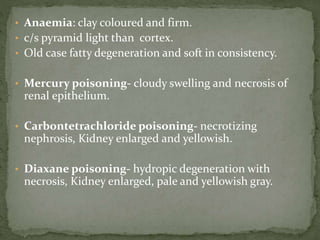 • Anaemia: clay coloured and firm.
• c/s pyramid light than cortex.
• Old case fatty degeneration and soft in consistency.
• Mercury poisoning- cloudy swelling and necrosis of
renal epithelium.
• Carbontetrachloride poisoning- necrotizing
nephrosis, Kidney enlarged and yellowish.
• Diaxane poisoning- hydropic degeneration with
necrosis, Kidney enlarged, pale and yellowish gray.
 