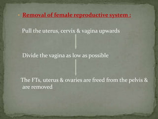 • Removal of female reproductive system :
Pull the uterus, cervix & vagina upwards
Divide the vagina as low as possible
The FTs, uterus & ovaries are freed from the pelvis &
are removed
 
