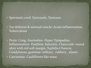  Spermatic cord: Varicocele, Tumours
 Vas deferens & seminal vesicle: Acute inflammation,
Tuberculosis
 Penis: Cong. Anomalies- Hypo/ Epispadias,
Inflammation- Posthitis, balanitis, Chancroid- round
ulcer with red soft margin, Syphilis-Chancre,
Condylomas, gummas- solitary , rubbery , elastic
 Carcinoma- Cauliflower like mass
 