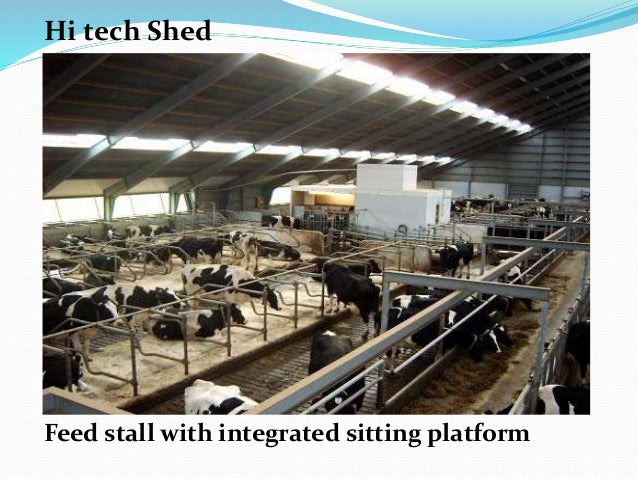 cattle shed plans india, easy to build pergola plans, fun