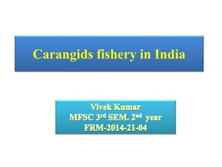 Carangids fishery in India
 