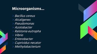 Microorganisms...
Bacillus cereus
Alcaligenes
Pseudomonas
Azotobacter
Ralstonia eutropha
Vibrio
Enterobacter
Cuprividus necator
Methylobacterium
 