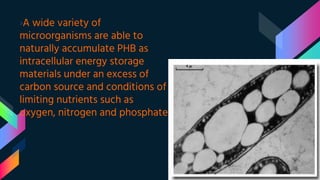 ›A wide variety of
microorganisms are able to
naturally accumulate PHB as
intracellular energy storage
materials under an excess of
carbon source and conditions of
limiting nutrients such as
oxygen, nitrogen and phosphate
 