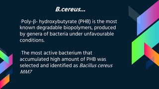B.cereus...
›Poly-β- hydroxybutyrate (PHB) is the most
known degradable biopolymers, produced
by genera of bacteria under unfavourable
conditions.
›The most active bacterium that
accumulated high amount of PHB was
selected and identified as Bacillus cereus
MM7
 