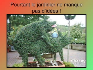 Pourtant le jardinier ne manque pas d’idées ! 