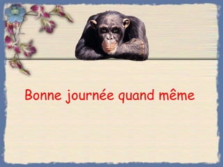 Bonne journée quand même  