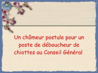 Un chômeur postule pour un poste de déboucheur de chiottes au Conseil Général  