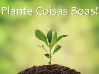 Plante Coisas Boas! 
 