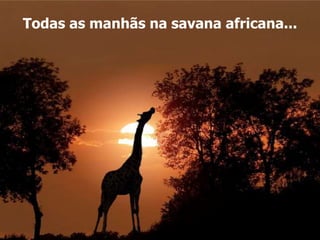 Todas as manhãs na savana africana... 
 