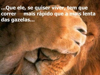 ...Que ele, se quiser viver, tem que 
correr mais rápido que a mais lenta 
das gazelas... 
 