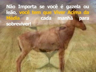 Não Importa se você é gazela ou 
leão, você tem que Viver Acima da 
Média a cada manhã para 
sobreviver! 
 