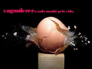 ÉÉagradeceragradecera cada manhã pela vida.a cada manhã pela vida.
 