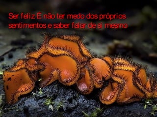 Ser feliz É não ter medo dosprópriosSer feliz É não ter medo dospróprios
sentimentosesaber falar desi mesmosentimentosesaber falar desi mesmo
 