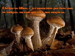 Ébeijaros filhos, é termomentos poéticos comÉbeijaros filhos, é termomentos poéticos com
os amigos, mesmo que eles nos magoem.os amigos, mesmo que eles nos magoem.
 