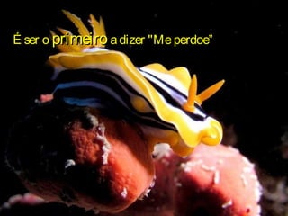 É ser oÉ ser o primeiroprimeiro adizer "Meperdoe”adizer "Meperdoe”
 