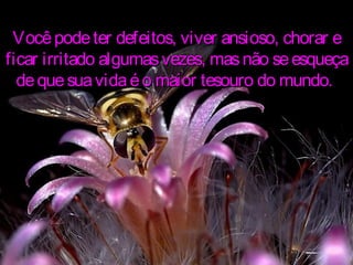 Vocêpodeter defeitos, viver ansioso, chorar eVocêpodeter defeitos, viver ansioso, chorar e
ficar irritado algumasvezes, masnão seesqueçaficar irritado algumasvezes, masnão seesqueça
dequesuavidaéo maior tesouro do mundo.dequesuavidaéo maior tesouro do mundo.
 