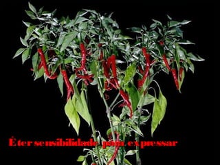 Étersensibilidade para expressarÉtersensibilidade para expressar
 