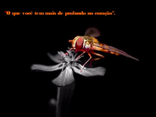 ""O que você tem mais de profundo no coração".O que você tem mais de profundo no coração".
 