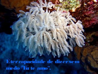 Étercapacidade de dizersemÉtercapacidade de dizersem
medo "Eu te amo".medo "Eu te amo".
 