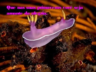 Que nas suas primaveras você sejaQue nas suas primaveras você seja
amante da alegria.amante da alegria.
 