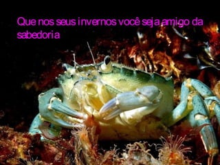 Quenosseusinvernosvocêsejaamigo daQuenosseusinvernosvocêsejaamigo da
sabedoriasabedoria
 