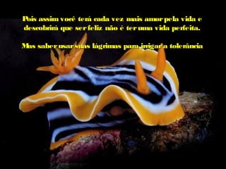 Pois assim você terá cada vez mais amorpela vida ePois assim você terá cada vez mais amorpela vida e
descobrirá que serfeliz não é teruma vida perfeita.descobrirá que serfeliz não é teruma vida perfeita.
Mas saberusarsuas lágrimas para irrigara tolerânciaMas saberusarsuas lágrimas para irrigara tolerância
 