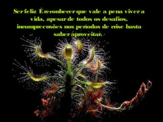 Serfeliz Éreconhecerque vale a pena viveraSerfeliz Éreconhecerque vale a pena vivera
vida, apesarde todos os desafios,vida, apesarde todos os desafios,
incompreensões nos períodos de crise bastaincompreensões nos períodos de crise basta
saberaproveitar.saberaproveitar.
 