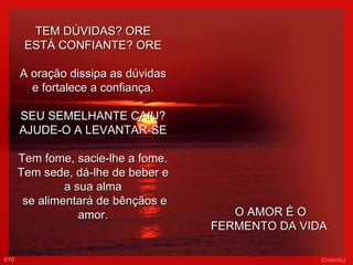 TEM DÚVIDAS? ORE ESTÁ CONFIANTE? ORE A oração dissipa as dúvidas e fortalece a confiança. SEU SEMELHANTE CAIU? AJUDE-O A LEVANTAR-SE Tem fome, sacie-lhe a fome. Tem sede, dá-lhe de beber e a sua alma   se alimentará de bênçãos e amor.   010 Colacio.j   O AMOR É O FERMENTO DA VIDA 