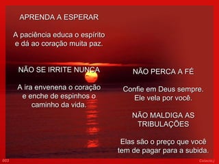 APRENDA A ESPERAR A paciência educa o espírito e dá ao coração muita paz.     NÃO SE IRRITE NUNCA A ira envenena o coração e enche de espinhos o caminho da vida.     NÃO PERCA A FÉ Confie em Deus sempre. Ele vela por você. NÃO MALDIGA AS TRIBULAÇÕES Elas são o preço que você tem de pagar para a subida. 003 Colacio.j 